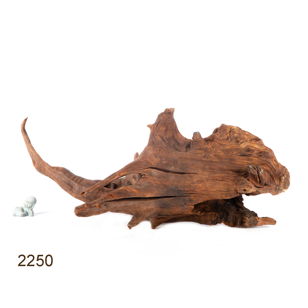 Коряга MASHA BLOOM "Железное дерево" затонувшая мангровая весовая 2250