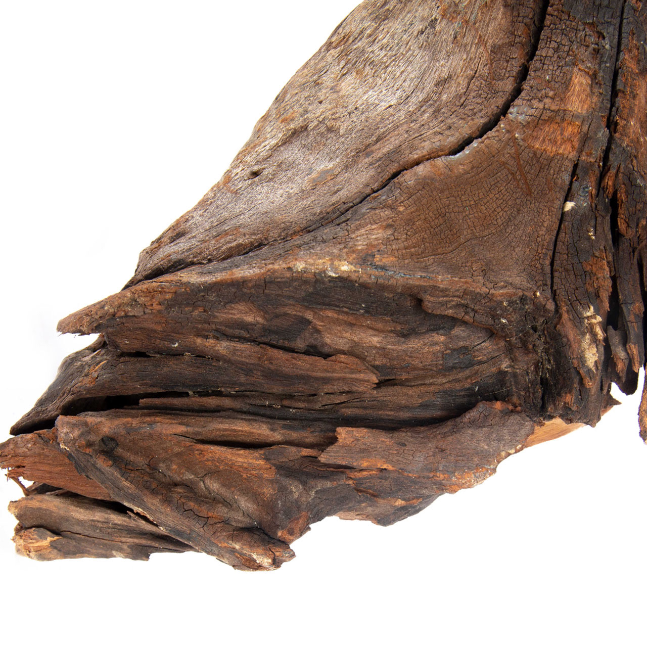 Коряга MASHA BLOOM "Железное дерево" затонувшая мангровая весовая 2251