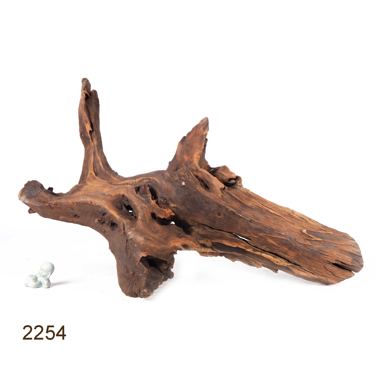 Коряга MASHA BLOOM "Железное дерево" затонувшая мангровая весовая 2254