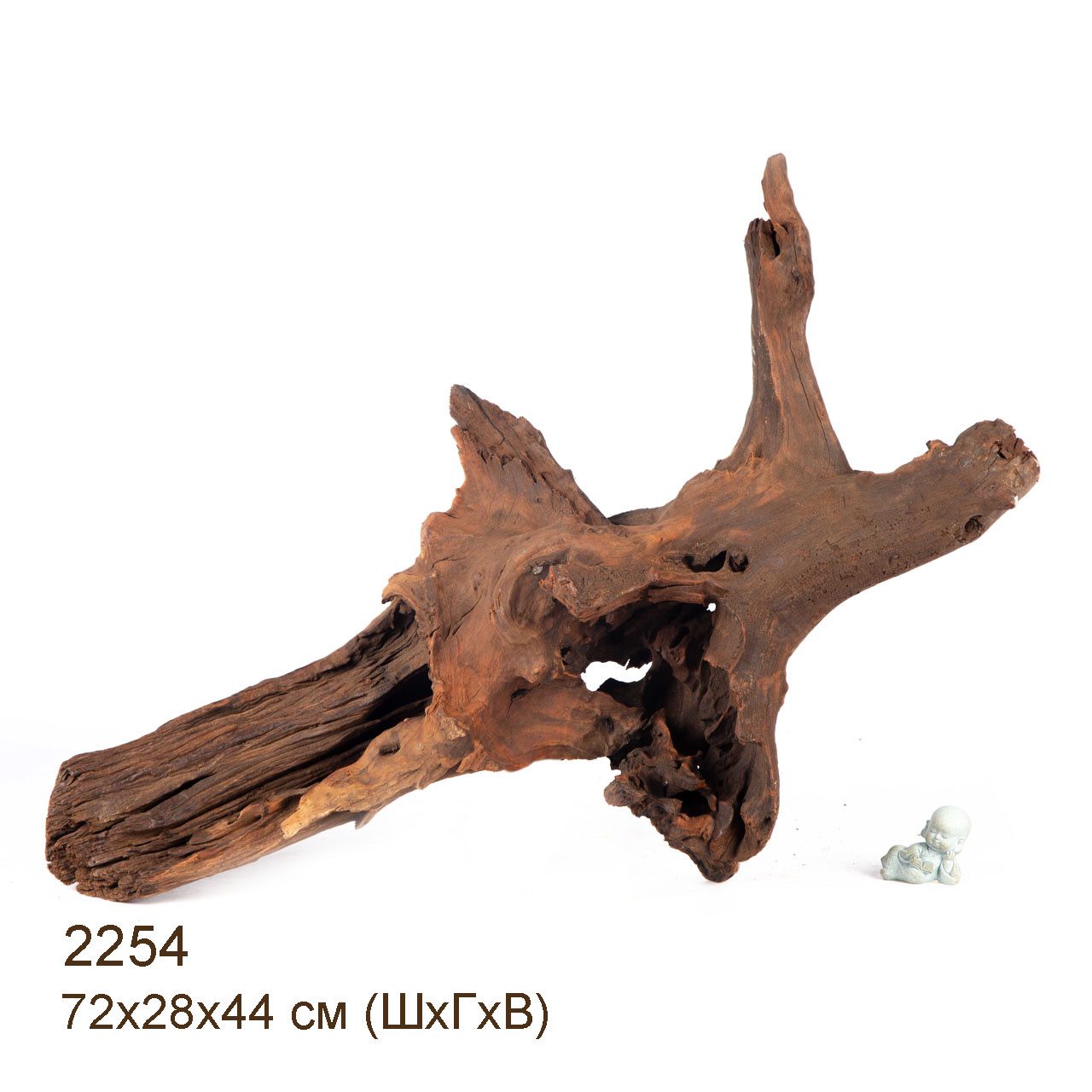 Коряга MASHA BLOOM "Железное дерево" затонувшая мангровая весовая 2254