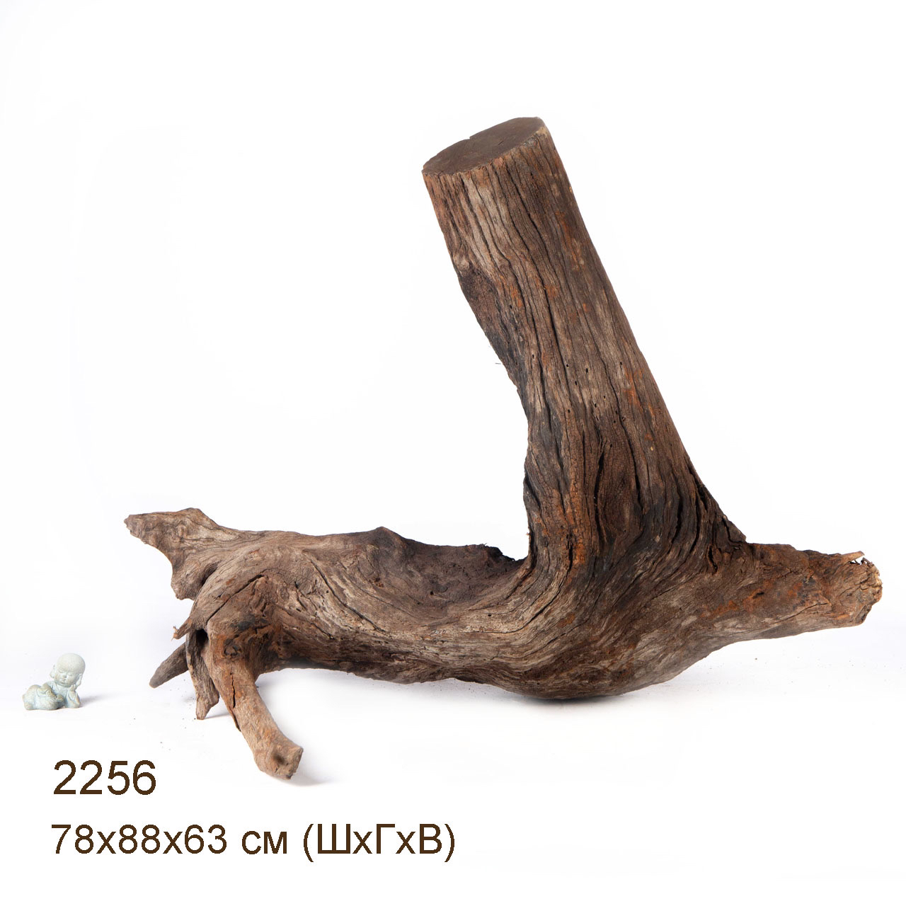 Коряга MASHA BLOOM "Железное дерево" затонувшая мангровая весовая 2256