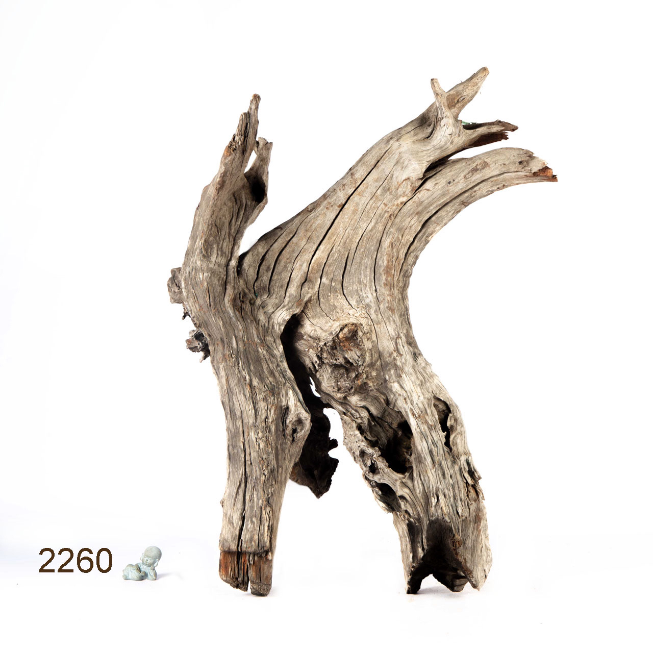 Коряга MASHA BLOOM "Железное дерево" затонувшая мангровая весовая 2260