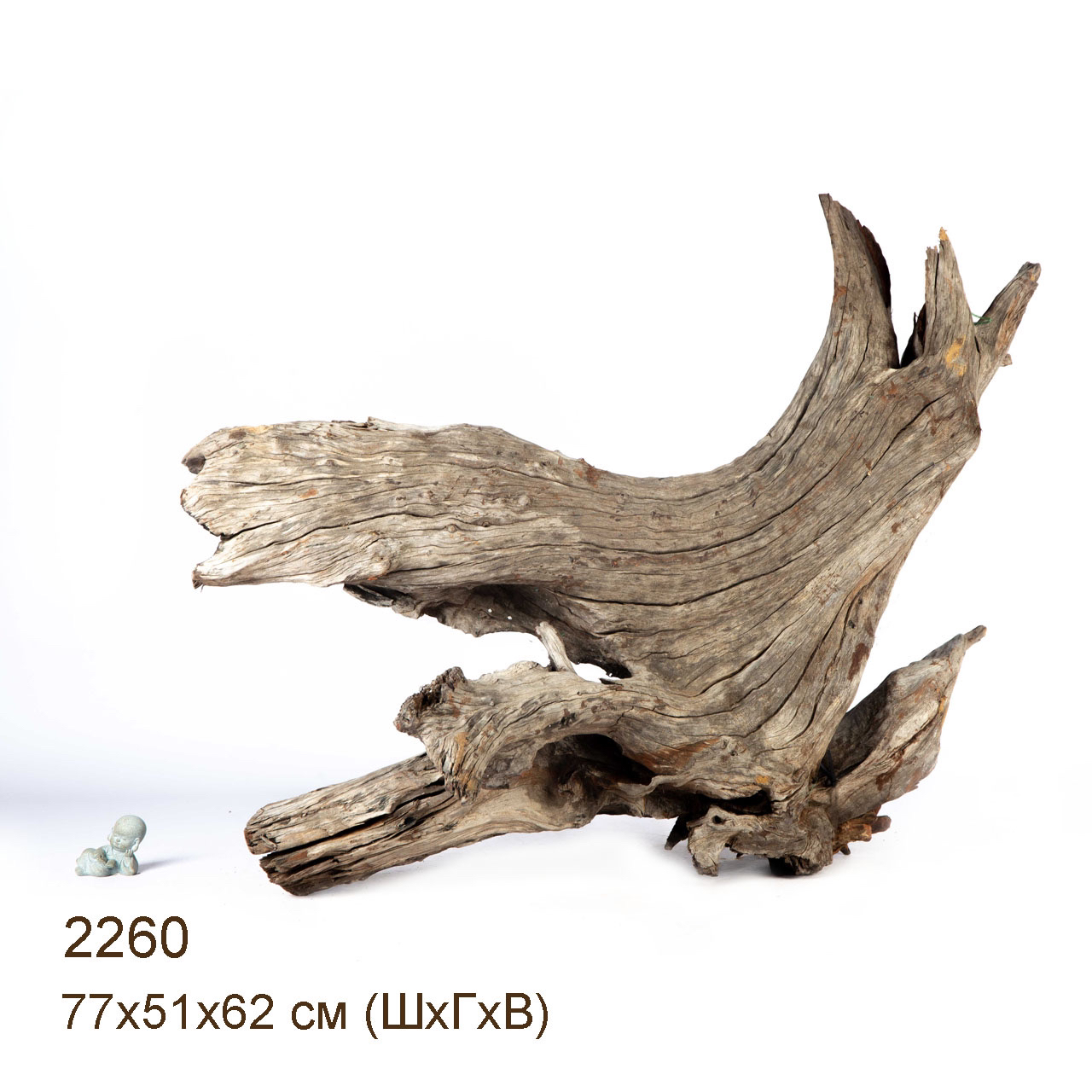 Коряга MASHA BLOOM "Железное дерево" затонувшая мангровая весовая 2260