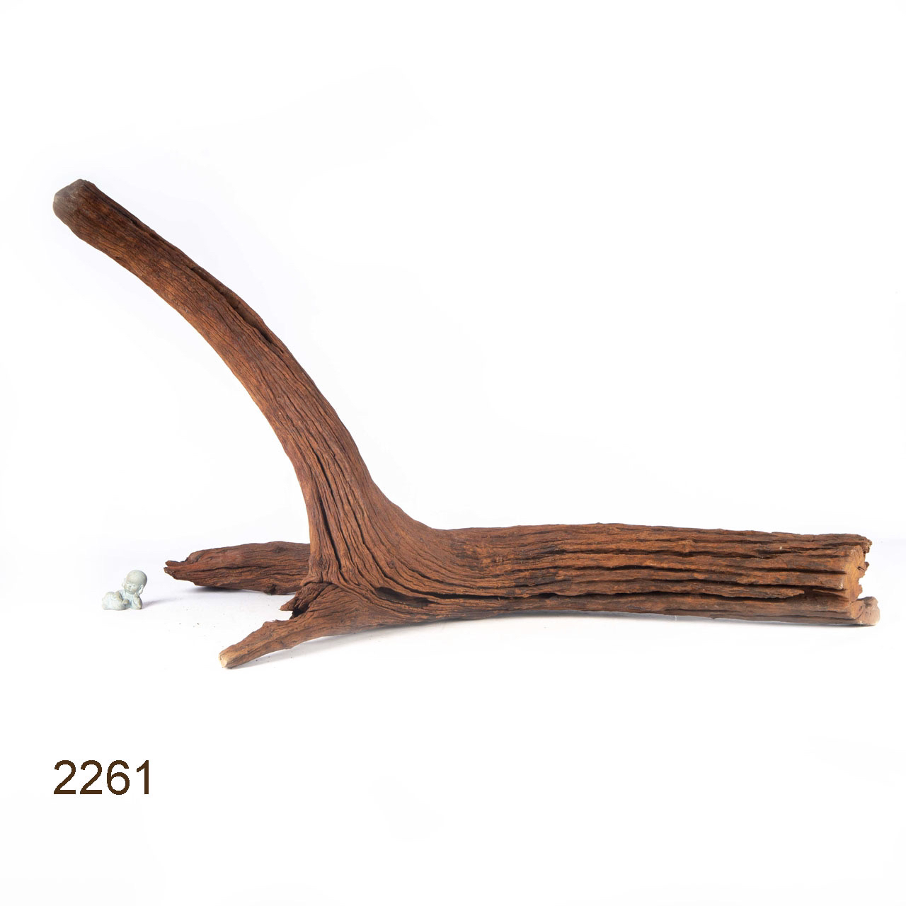 Коряга MASHA BLOOM "Железное дерево" затонувшая мангровая весовая 2261