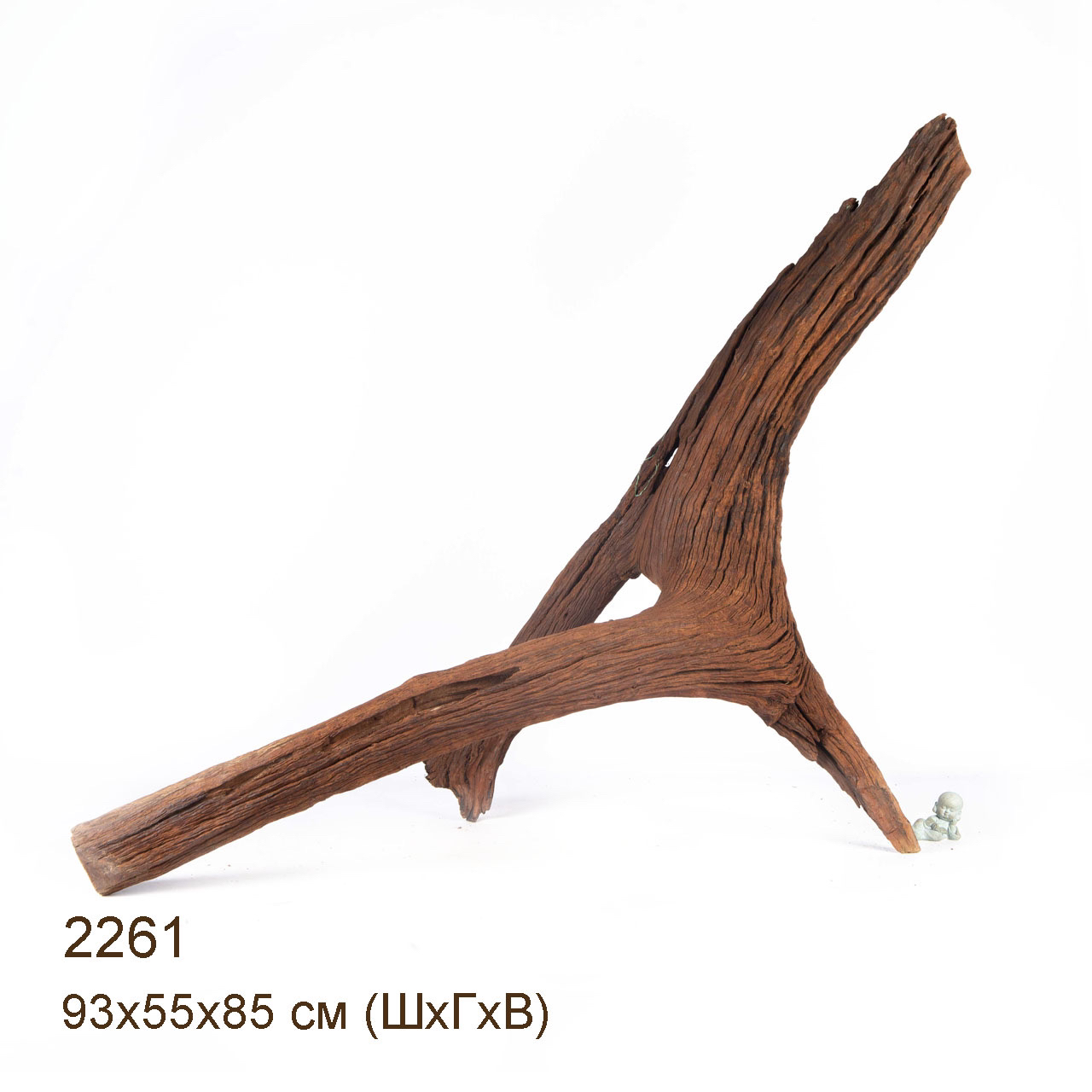 Коряга MASHA BLOOM "Железное дерево" затонувшая мангровая весовая 2261