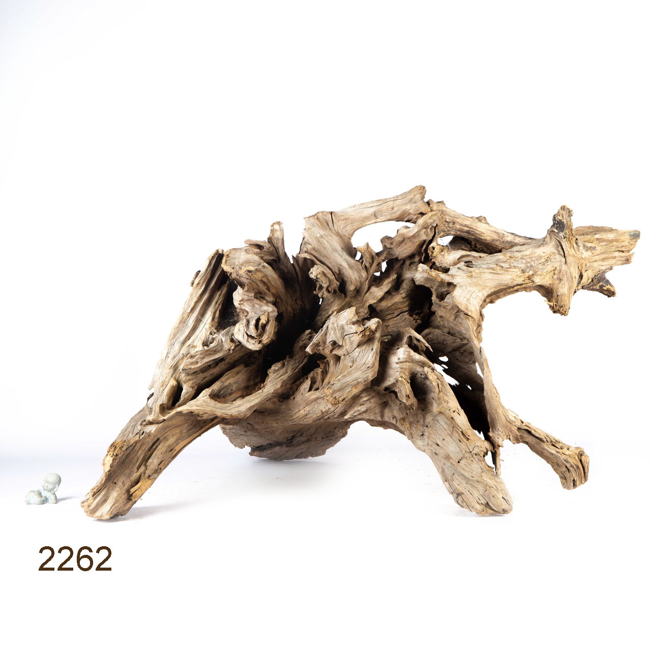 Коряга MASHA BLOOM "Железное дерево" затонувшая мангровая весовая 2262