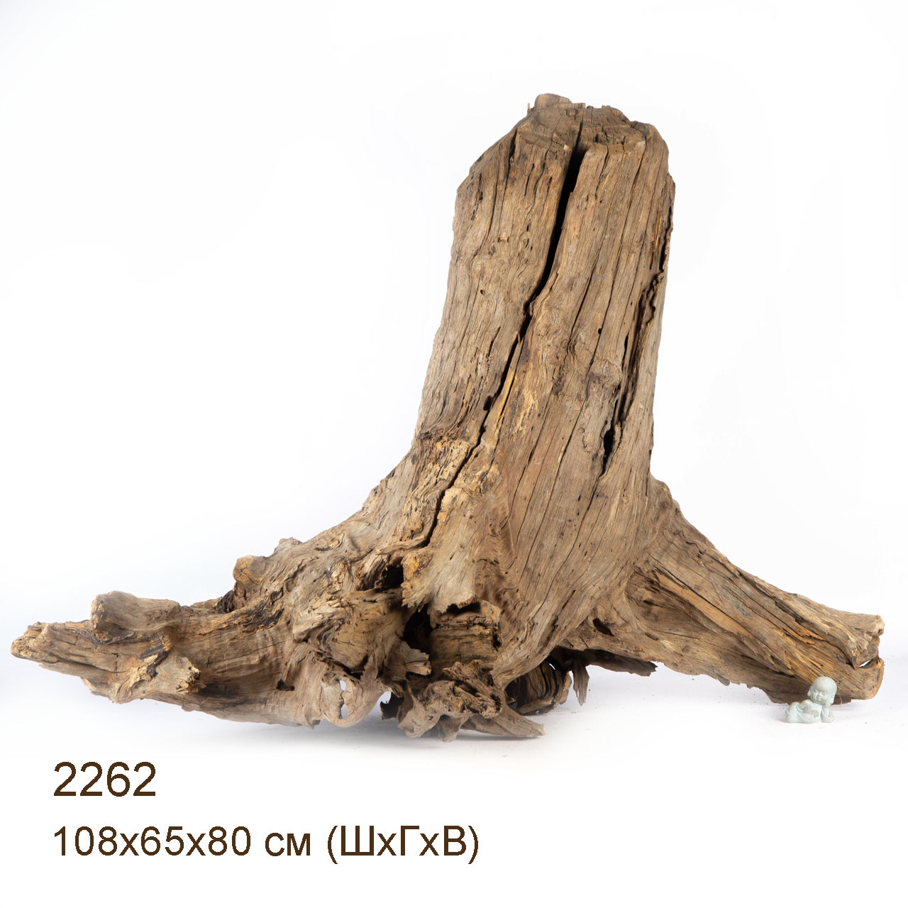 Коряга MASHA BLOOM "Железное дерево" затонувшая мангровая весовая 2262