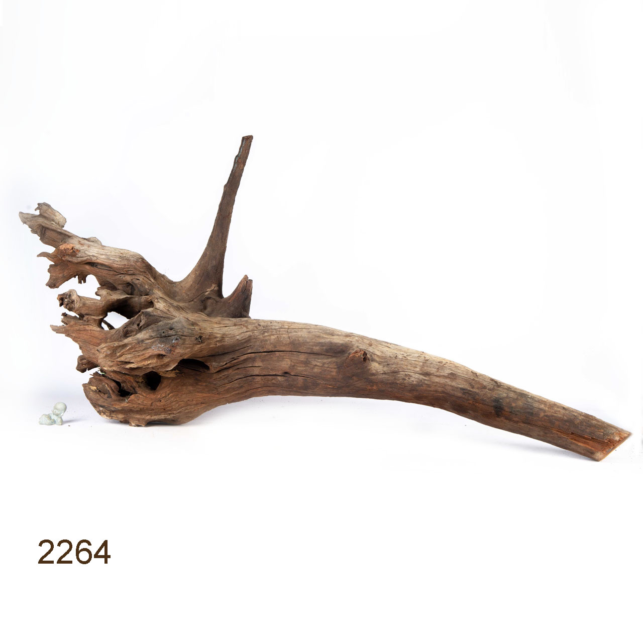 Коряга MASHA BLOOM "Железное дерево" затонувшая мангровая весовая 2264