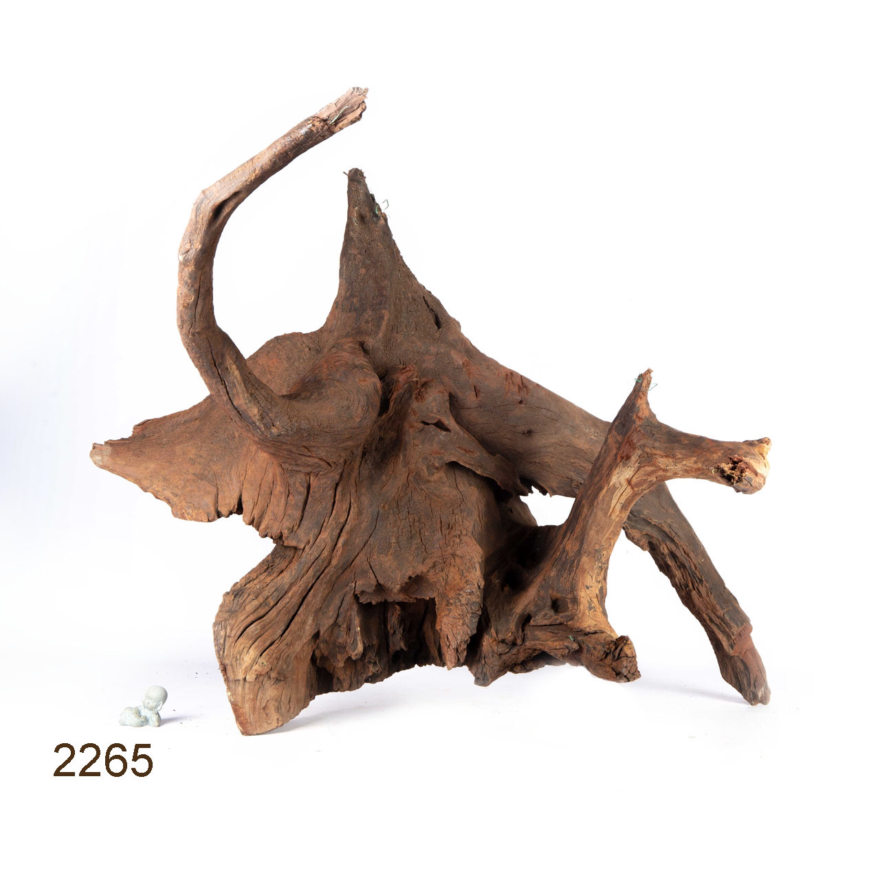 Коряга MASHA BLOOM "Железное дерево" затонувшая мангровая весовая 2265