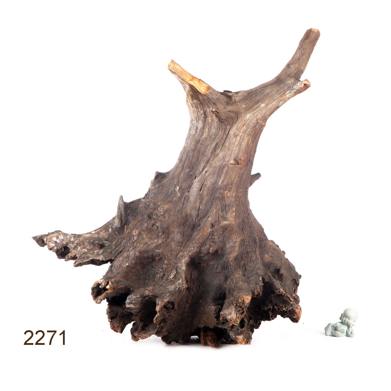 Коряга MASHA BLOOM "Железное дерево" затонувшая мангровая весовая 2271