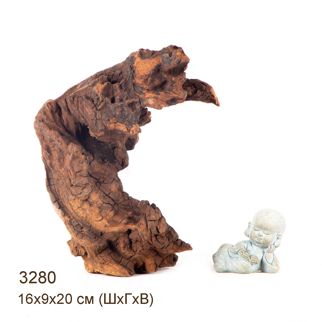 Коряга MASHA BLOOM "Железное дерево" затонувшая мангровая M - 3280