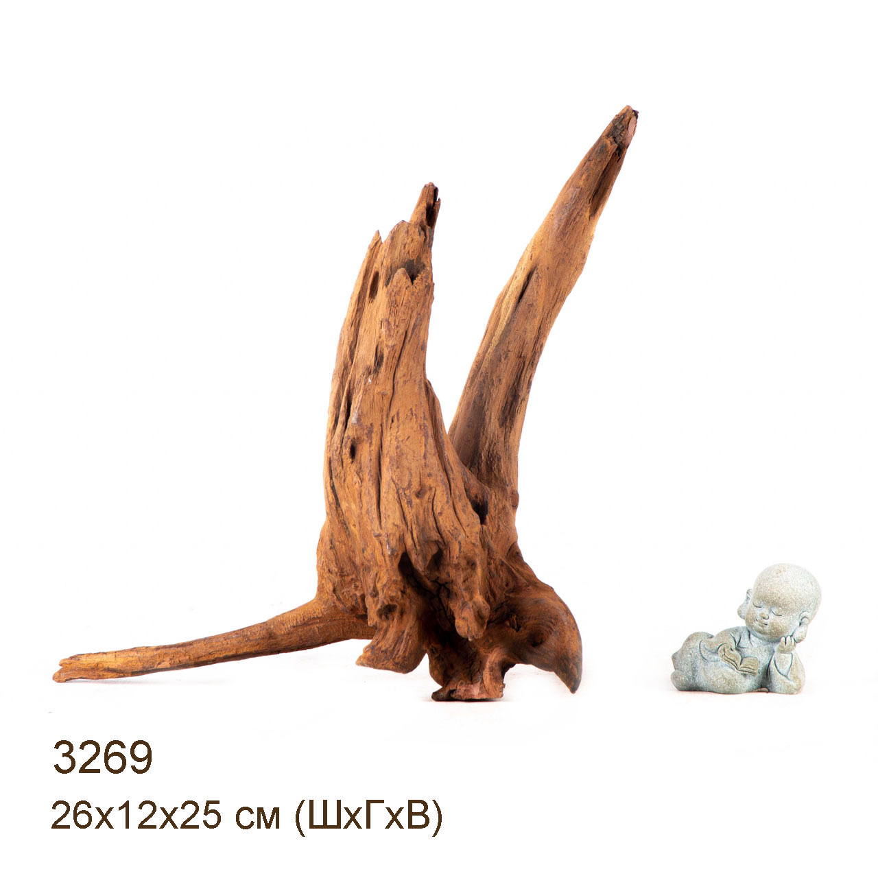 Коряга MASHA BLOOM "Железное дерево" затонувшая мангровая M - 3268