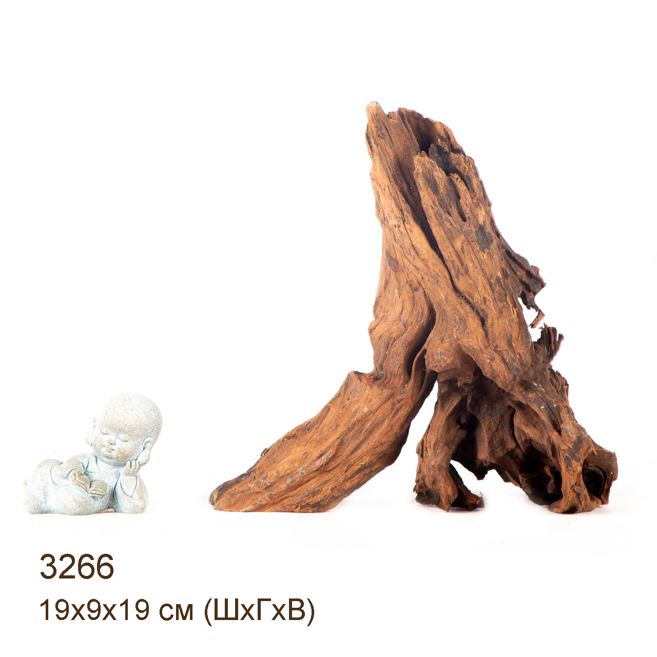 Коряга MASHA BLOOM "Железное дерево" затонувшая мангровая M - 3266