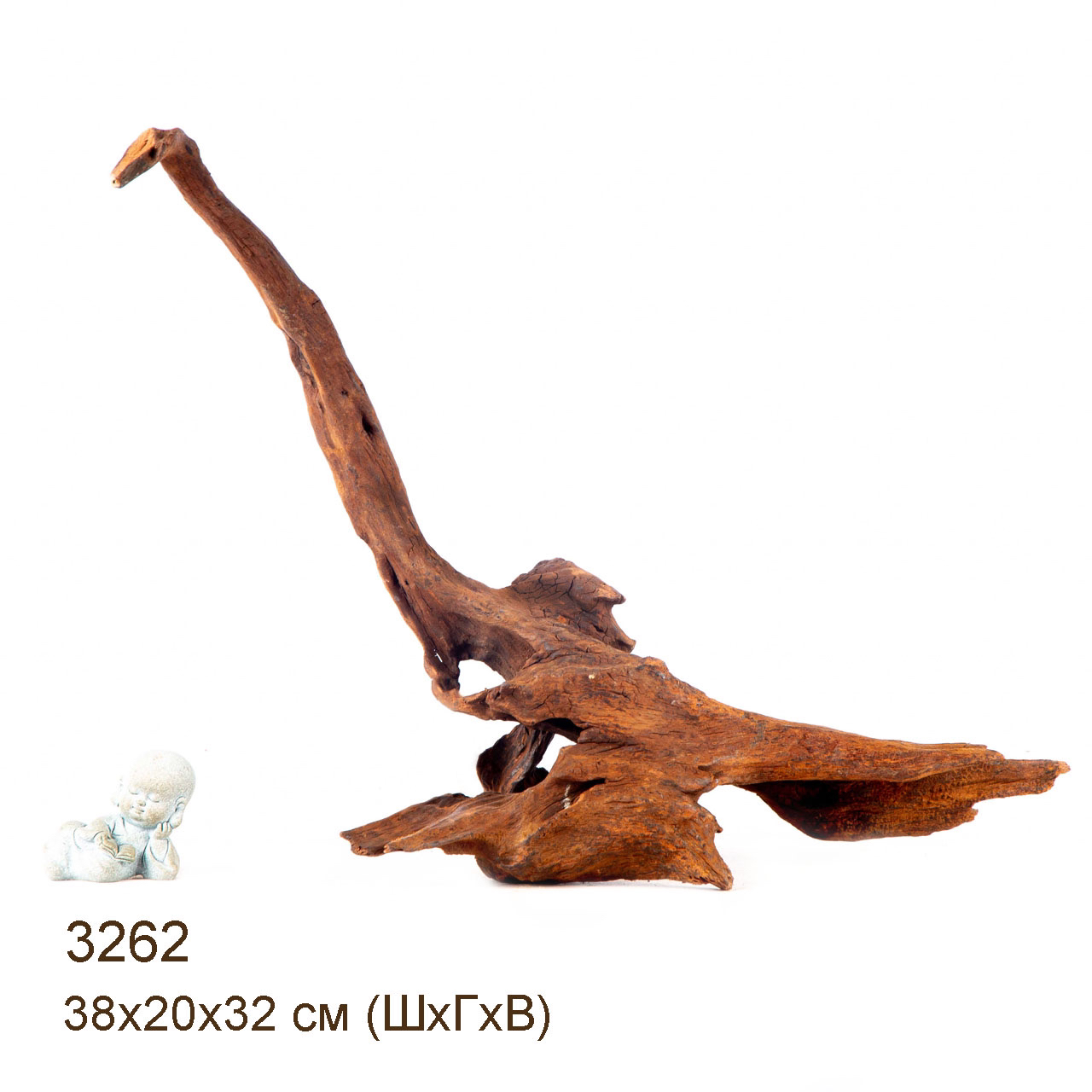 Коряга MASHA BLOOM "Железное дерево" затонувшая мангровая M - 3262