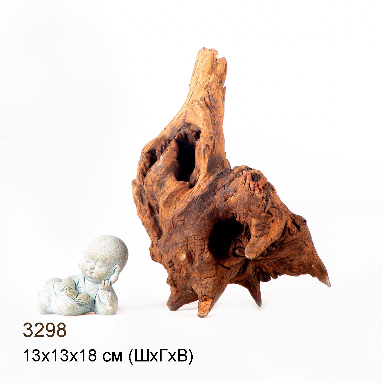 Коряга MASHA BLOOM "Железное дерево" затонувшая мангровая M - 3298