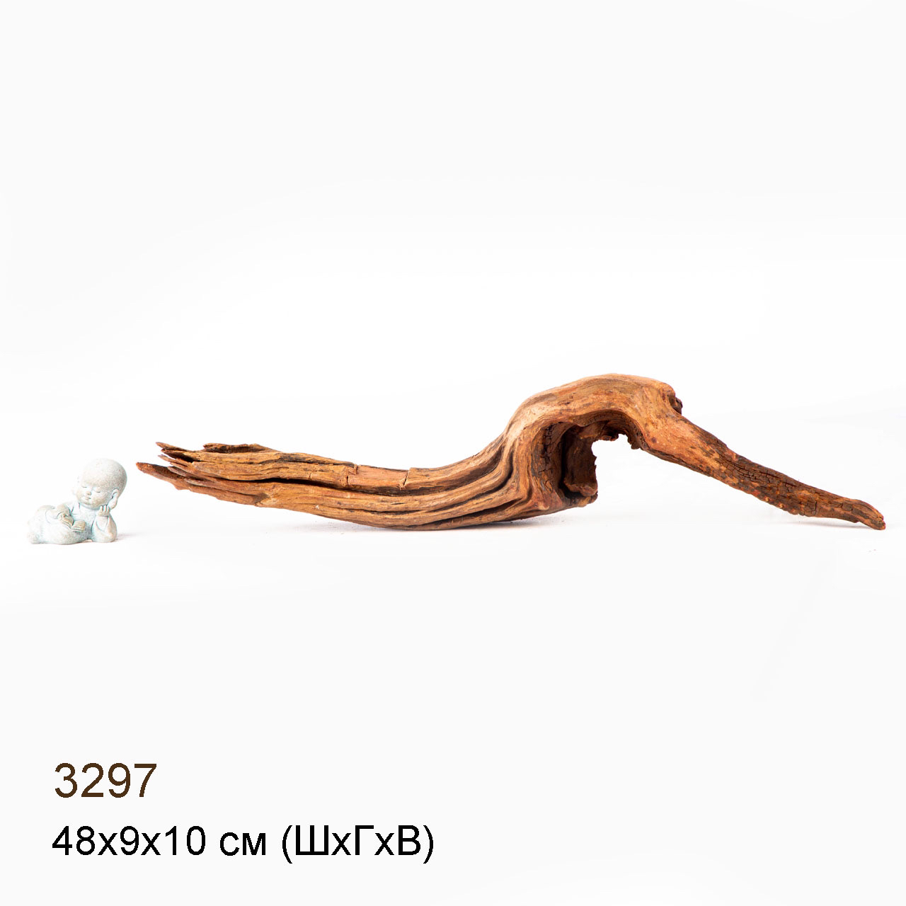 Коряга MASHA BLOOM "Железное дерево" затонувшая мангровая M - 3297