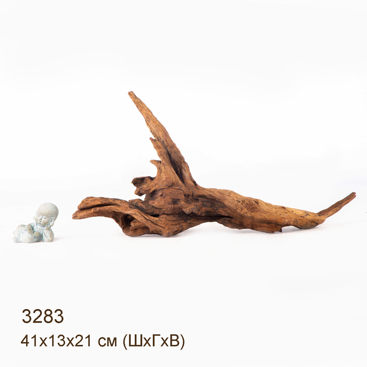 Коряга MASHA BLOOM "Железное дерево" затонувшая мангровая M - 3283