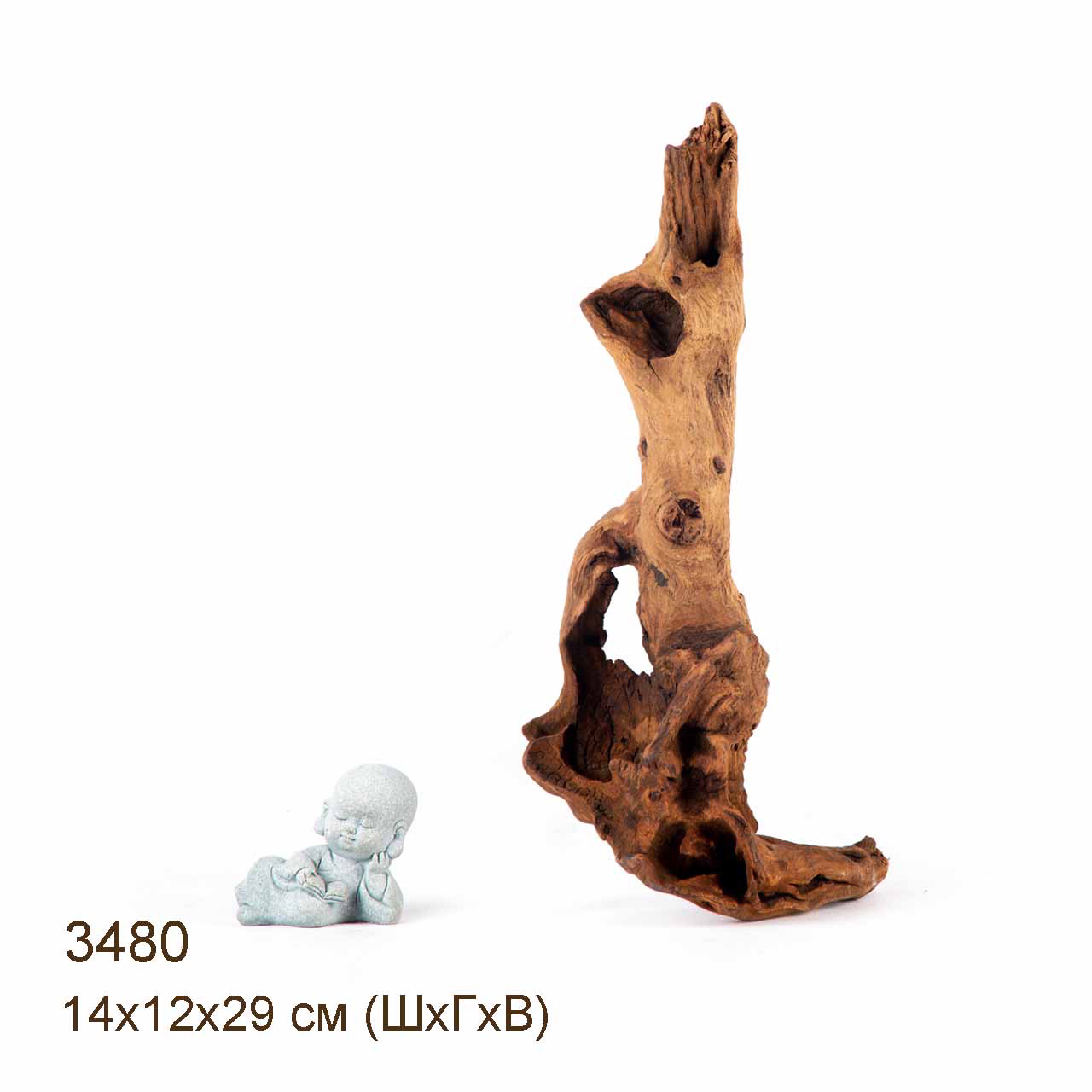 Коряга MASHA BLOOM "Железное дерево" затонувшая мангровая S - 3480