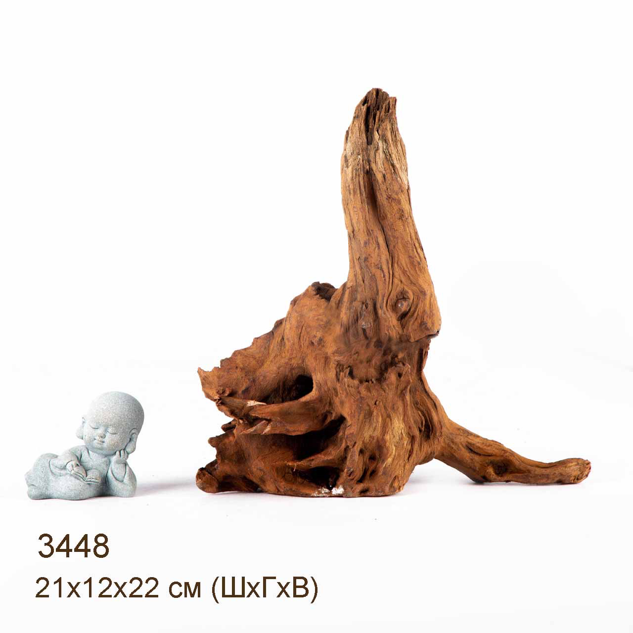 Коряга MASHA BLOOM "Железное дерево" затонувшая мангровая S - 3448