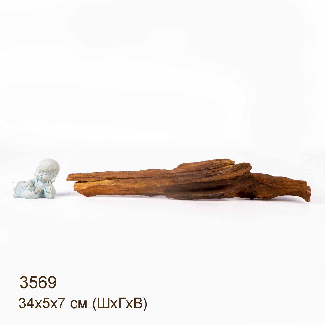 Коряга MASHA BLOOM "Железное дерево" затонувшая мангровая XXS - 3569