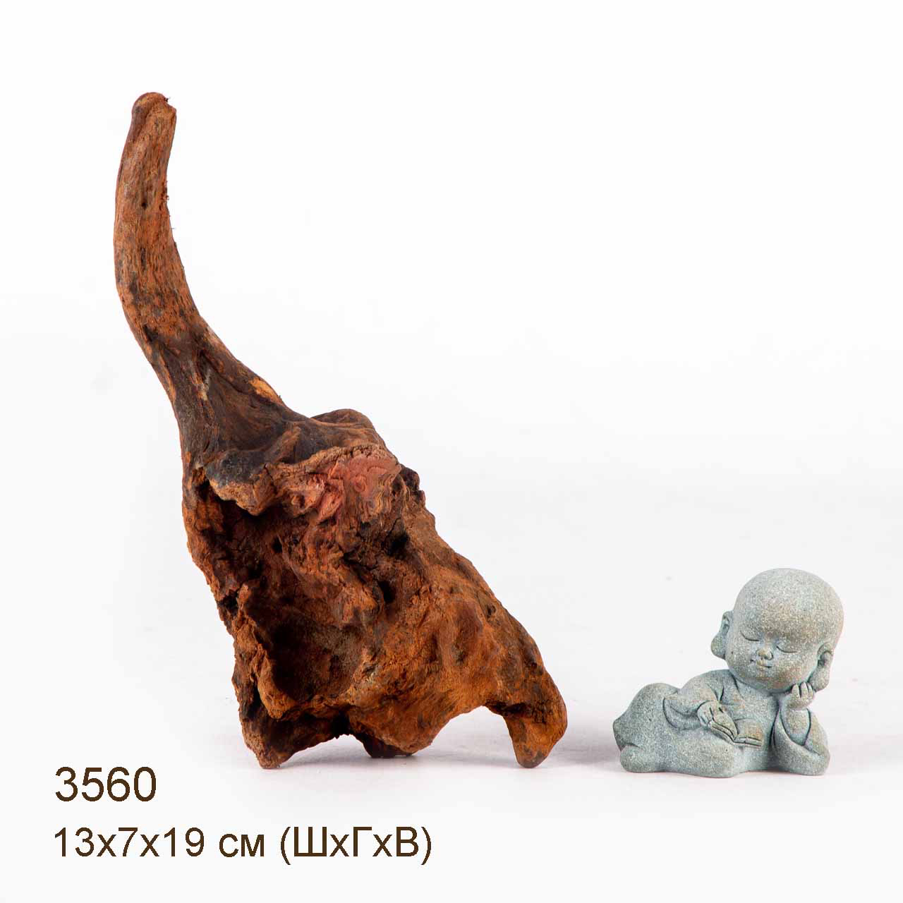 Коряга MASHA BLOOM "Железное дерево" затонувшая мангровая XXS - 3560