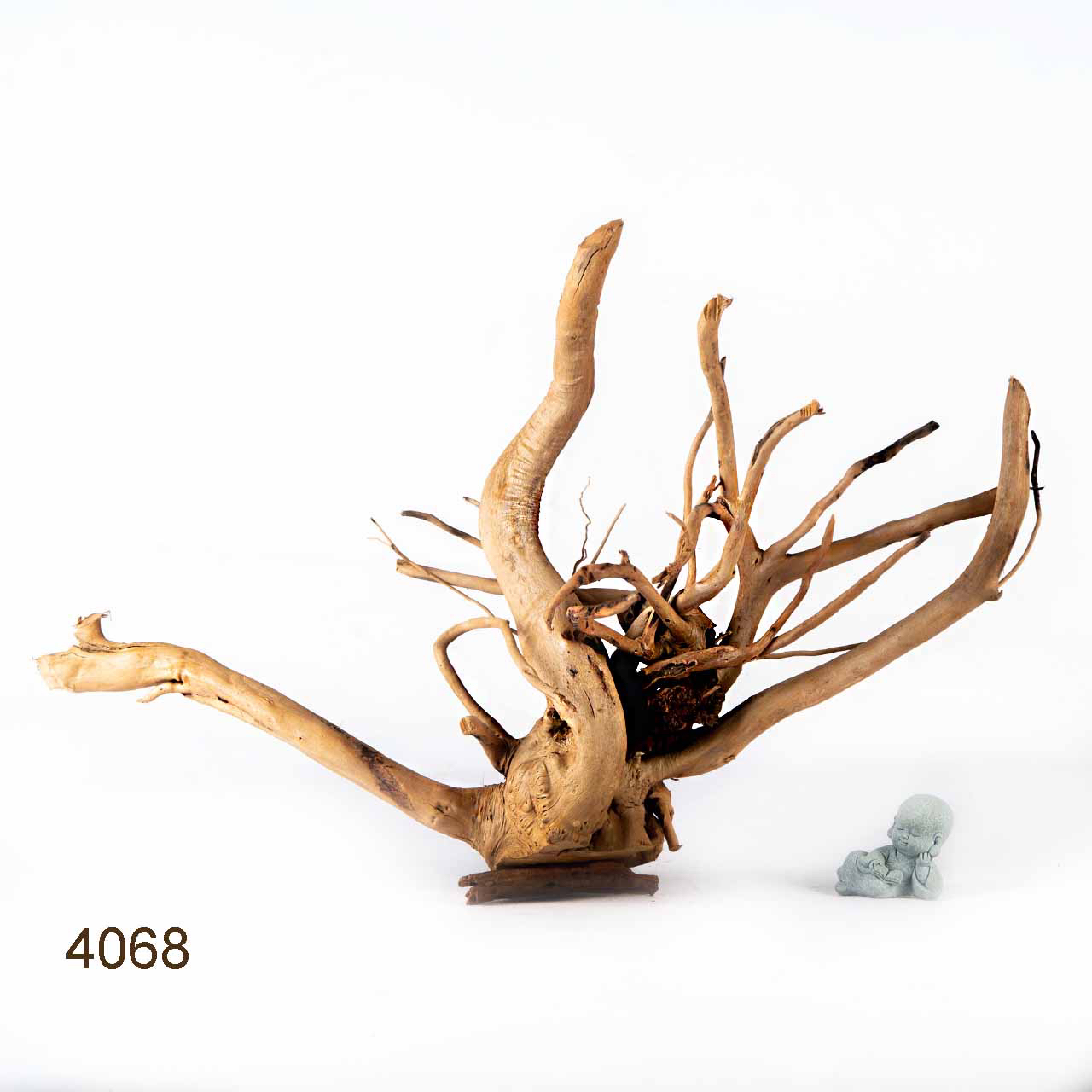 Коряга MASHA BLOOM Корень азалии XXL - 4068