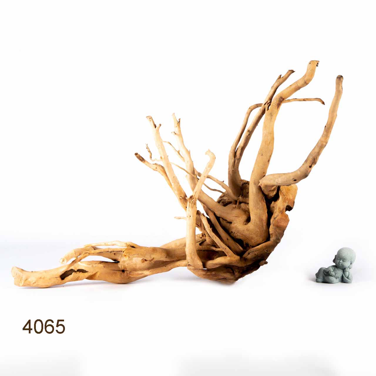 Коряга MASHA BLOOM Корень азалии XXL - 4065