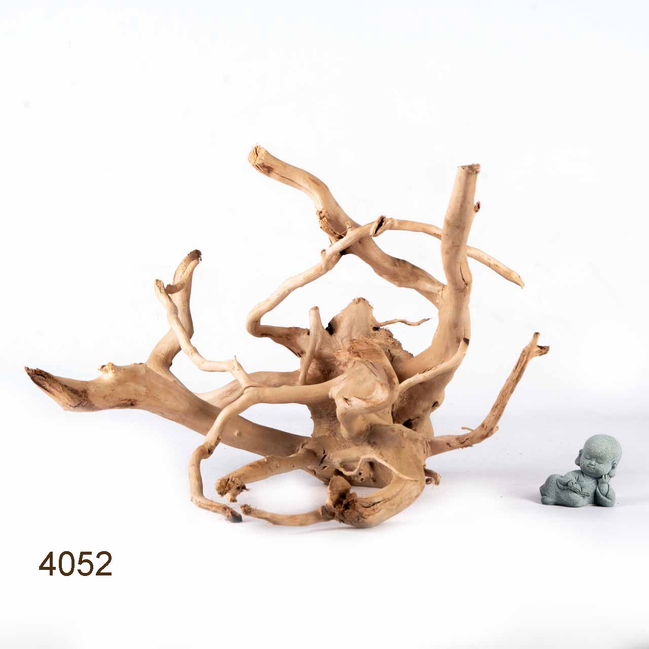 Коряга MASHA BLOOM Корень азалии XXL - 4052