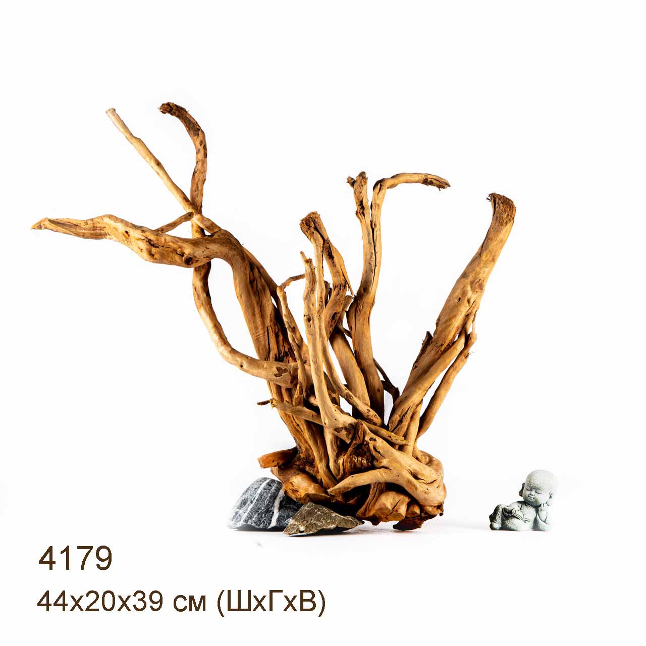 Коряга MASHA BLOOM Корень азалии XL - 4179