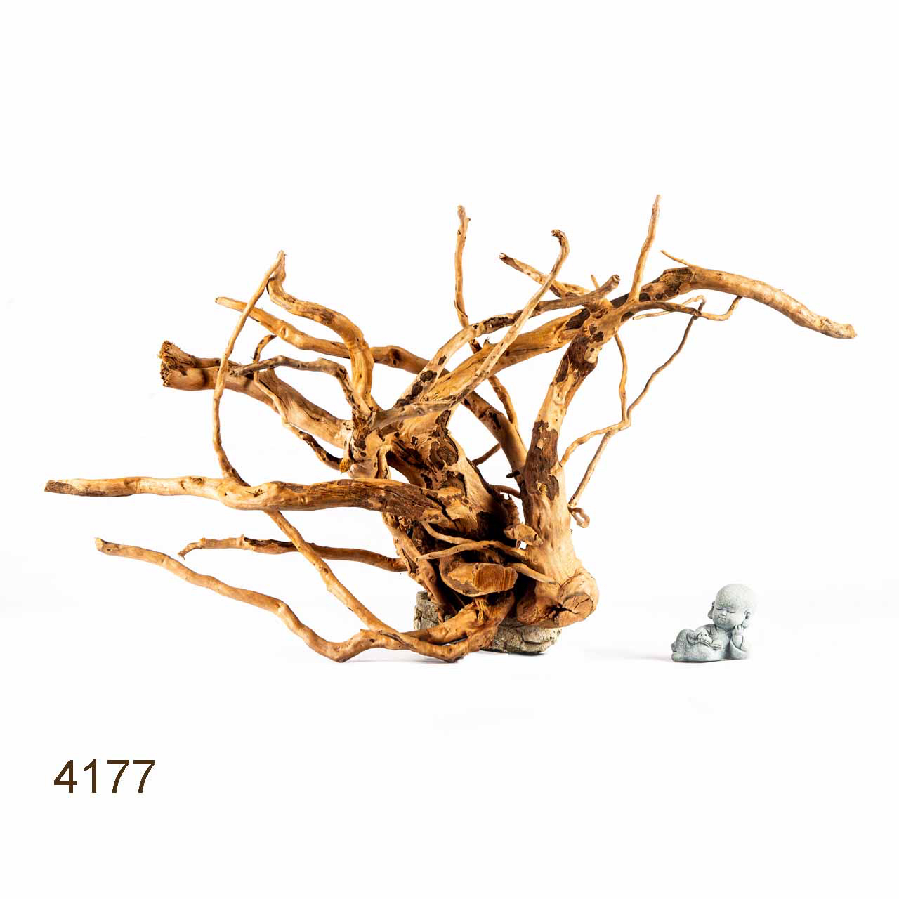 Коряга MASHA BLOOM Корень азалии XL - 4177