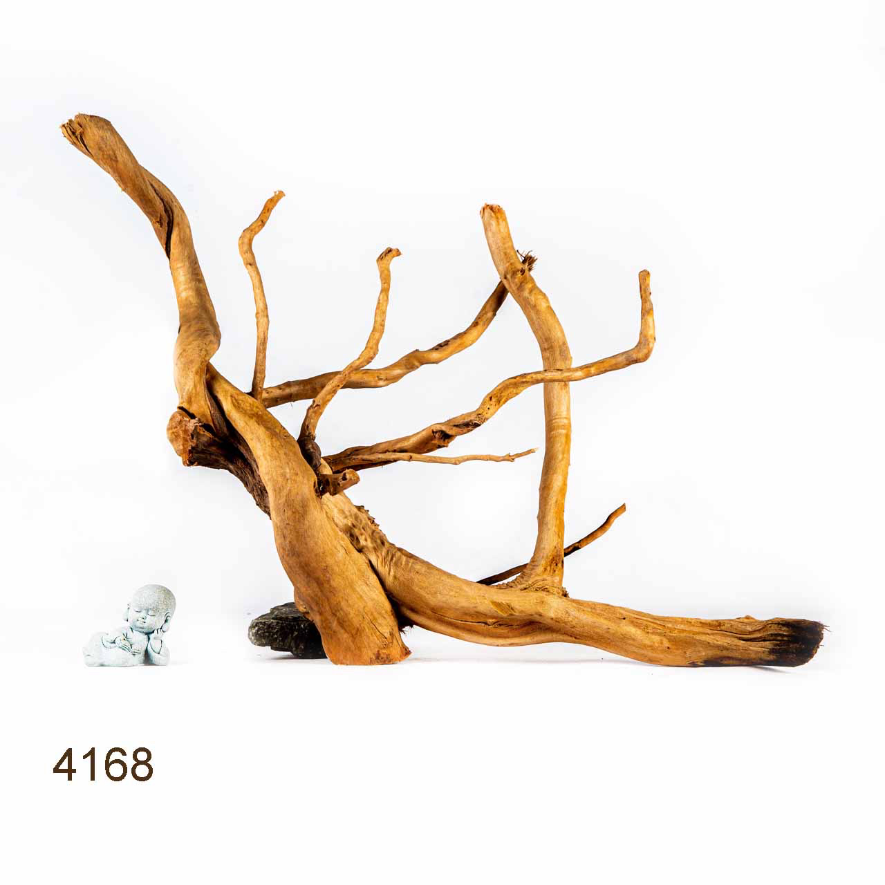 Коряга MASHA BLOOM Корень азалии XL - 4168