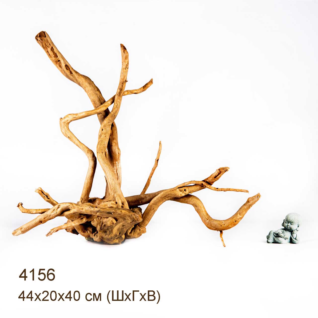 Коряга MASHA BLOOM Корень азалии XL - 4156