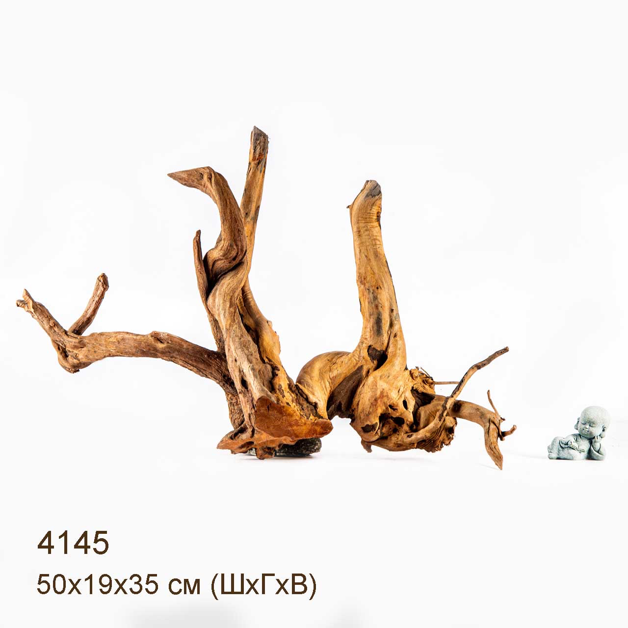 Коряга MASHA BLOOM Корень азалии XL - 4145