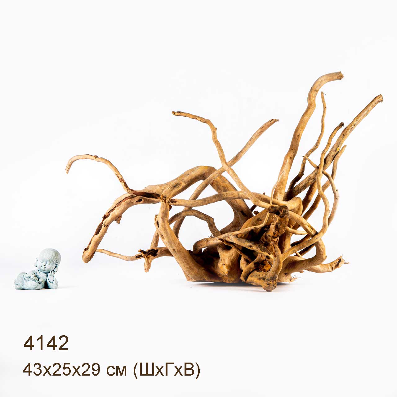 Коряга MASHA BLOOM Корень азалии XL - 4142