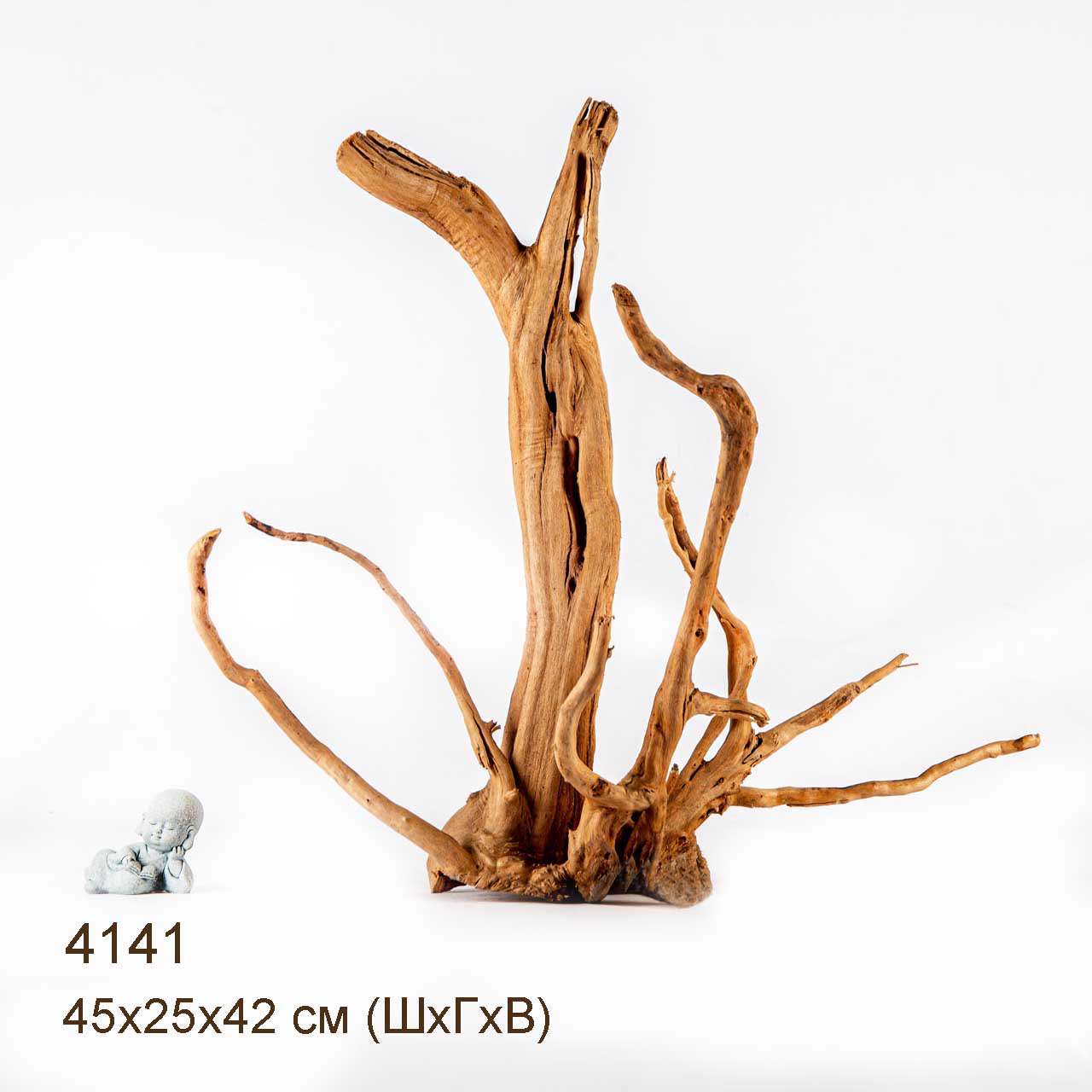 Коряга MASHA BLOOM Корень азалии XL - 4141