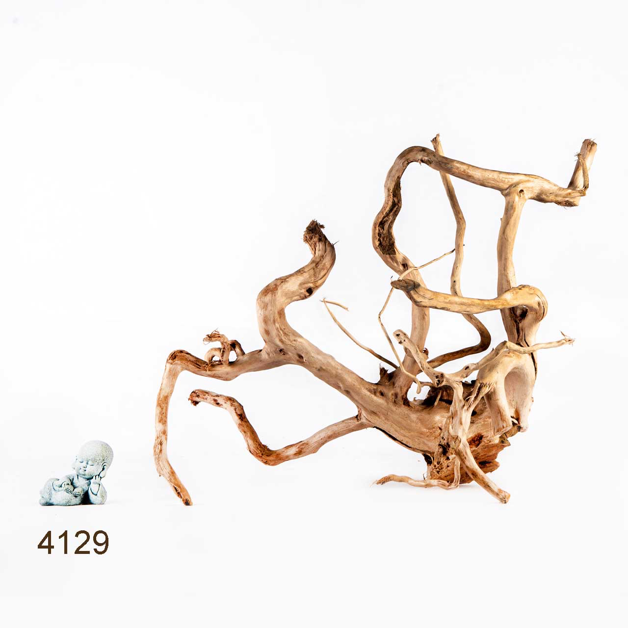 Коряга MASHA BLOOM Корень азалии XL - 4129