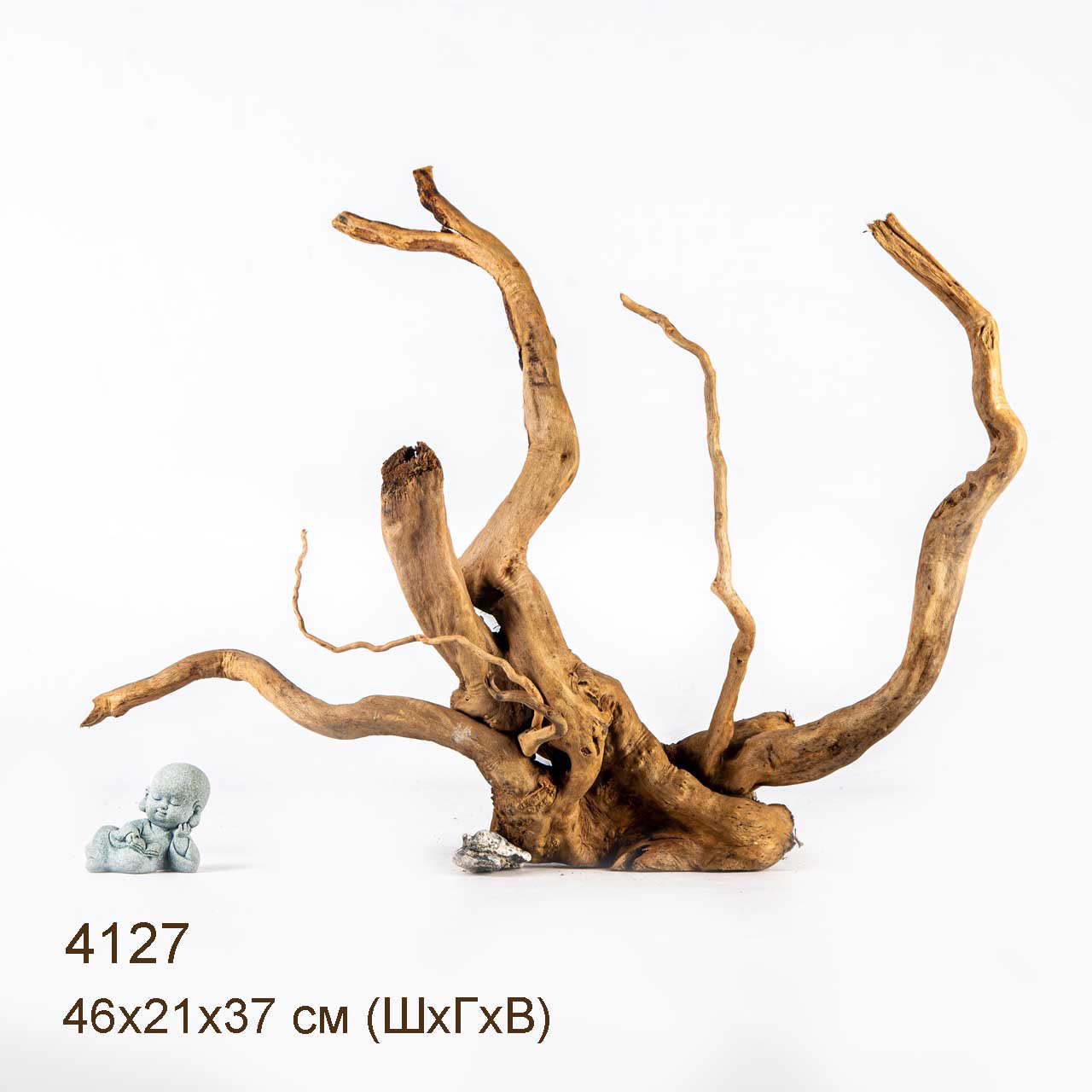 Коряга MASHA BLOOM Корень азалии XL - 4127