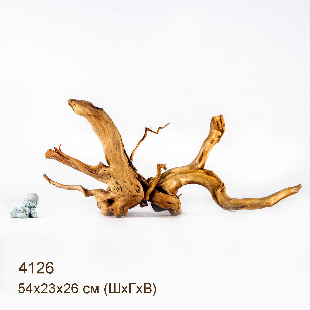 Коряга MASHA BLOOM Корень азалии XL - 4126