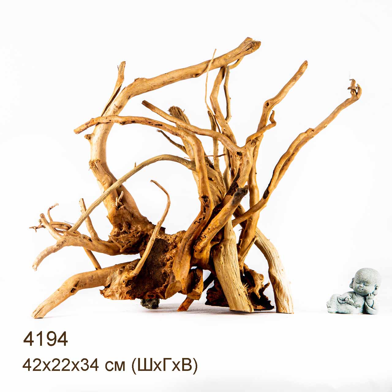 Коряга MASHA BLOOM Корень азалии XL - 4194