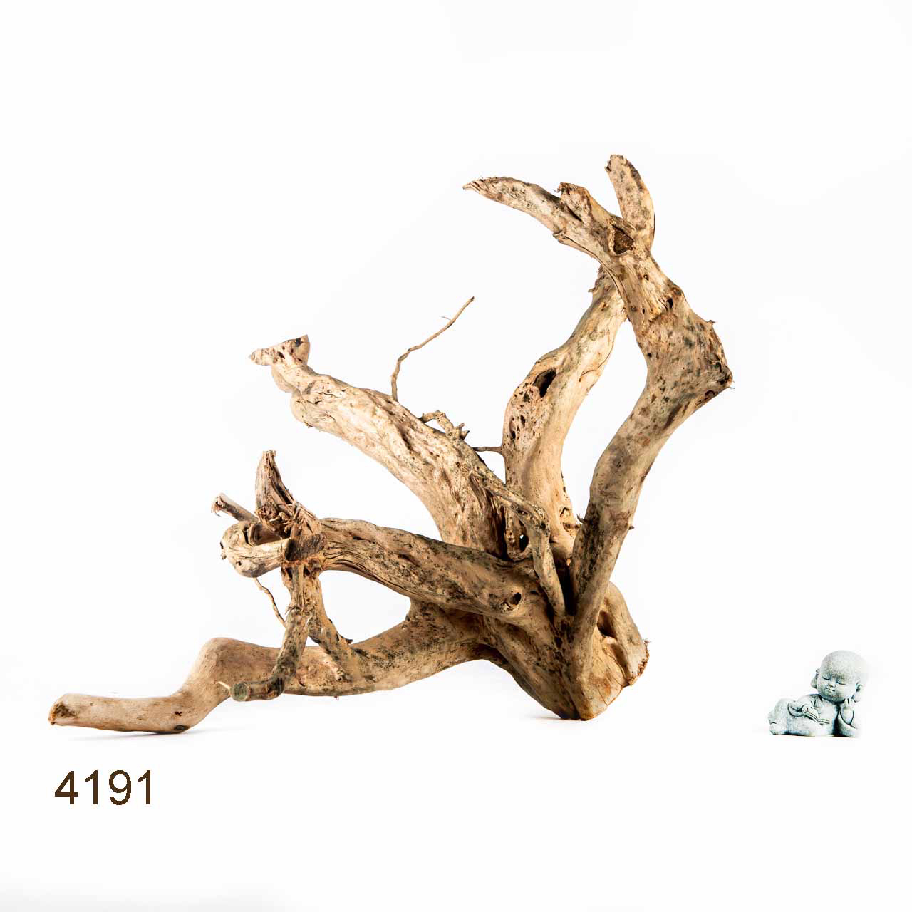 Коряга MASHA BLOOM Корень азалии XL - 4191