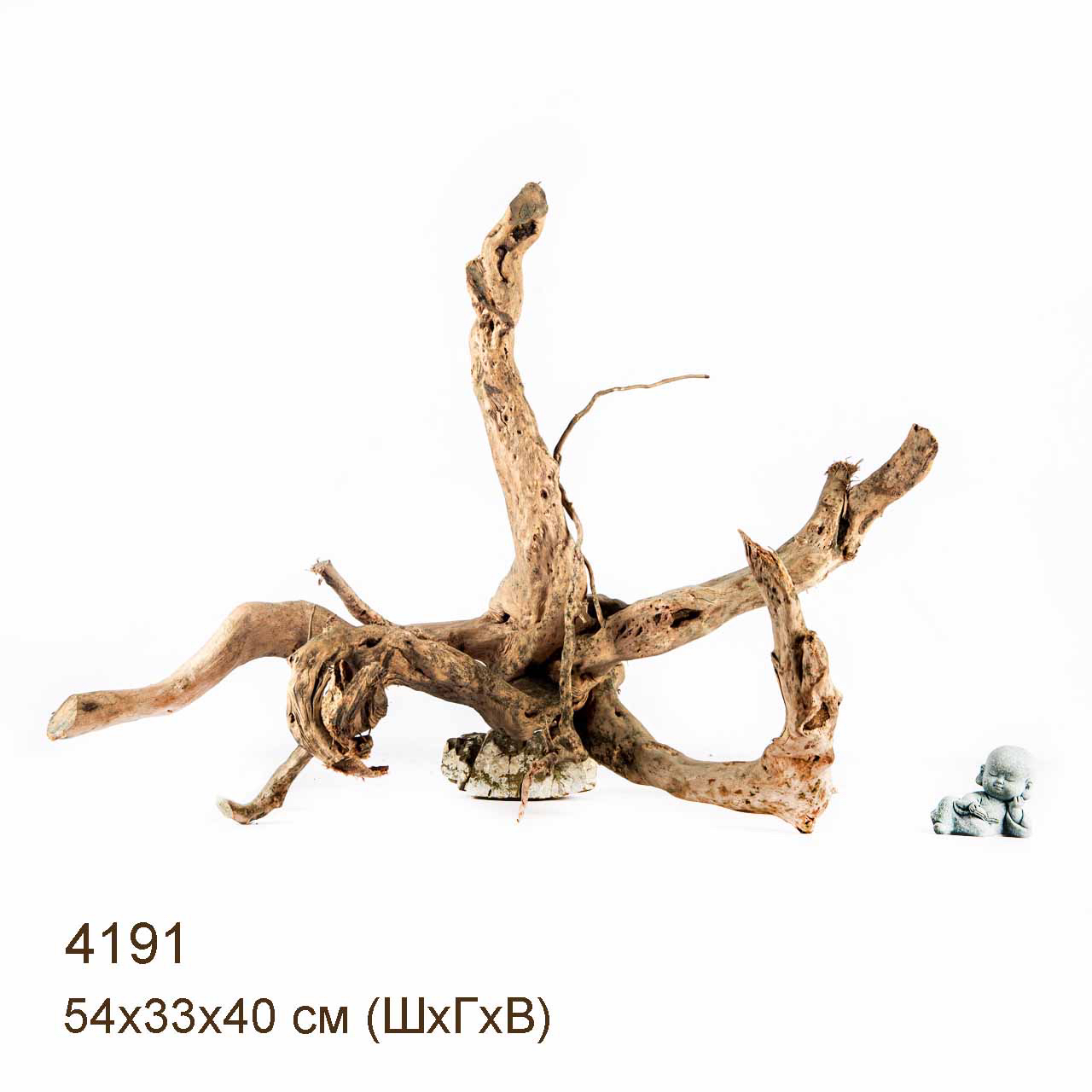 Коряга MASHA BLOOM Корень азалии XL - 4191