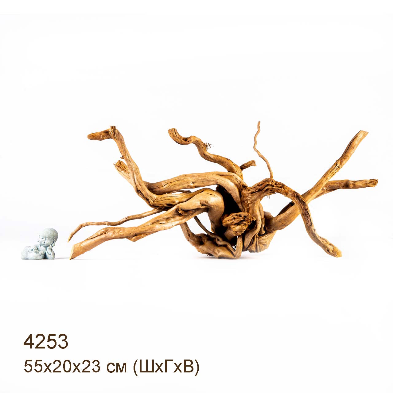 Коряга MASHA BLOOM Корень азалии XL - 4253