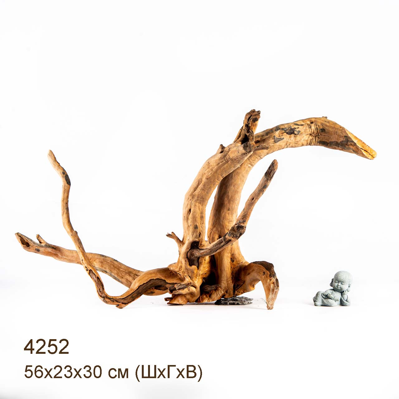 Коряга MASHA BLOOM Корень азалии XL - 4252