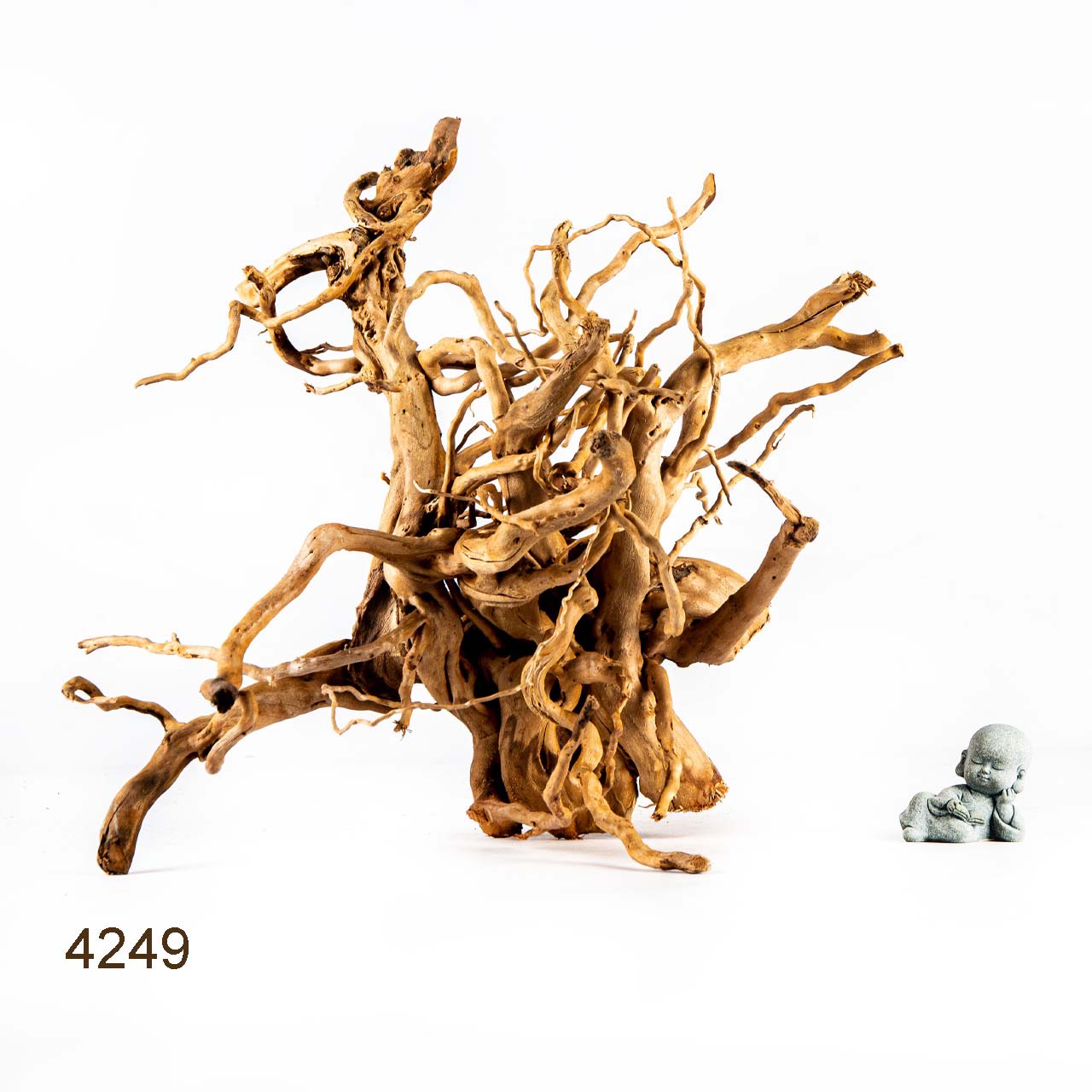 Коряга MASHA BLOOM Корень азалии XL - 4249