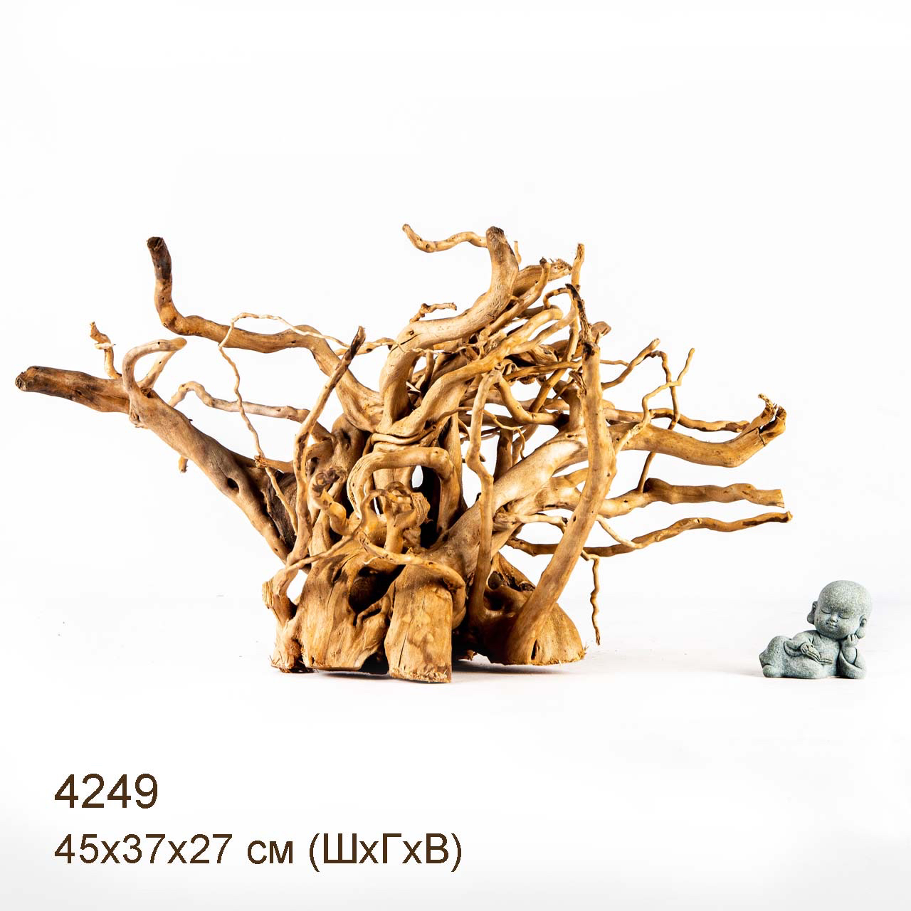 Коряга MASHA BLOOM Корень азалии XL - 4249