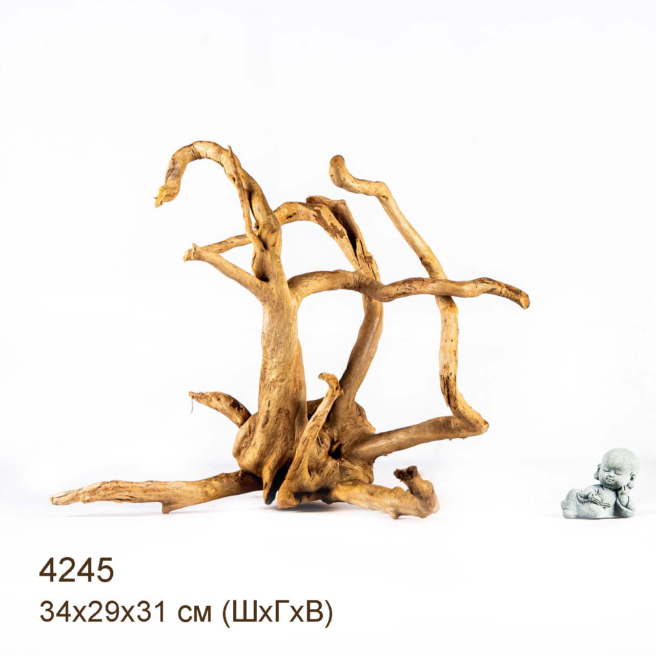 Коряга MASHA BLOOM Корень азалии XL - 4245