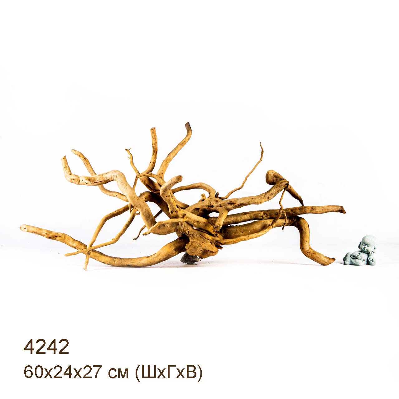 Коряга MASHA BLOOM Корень азалии XL - 4242