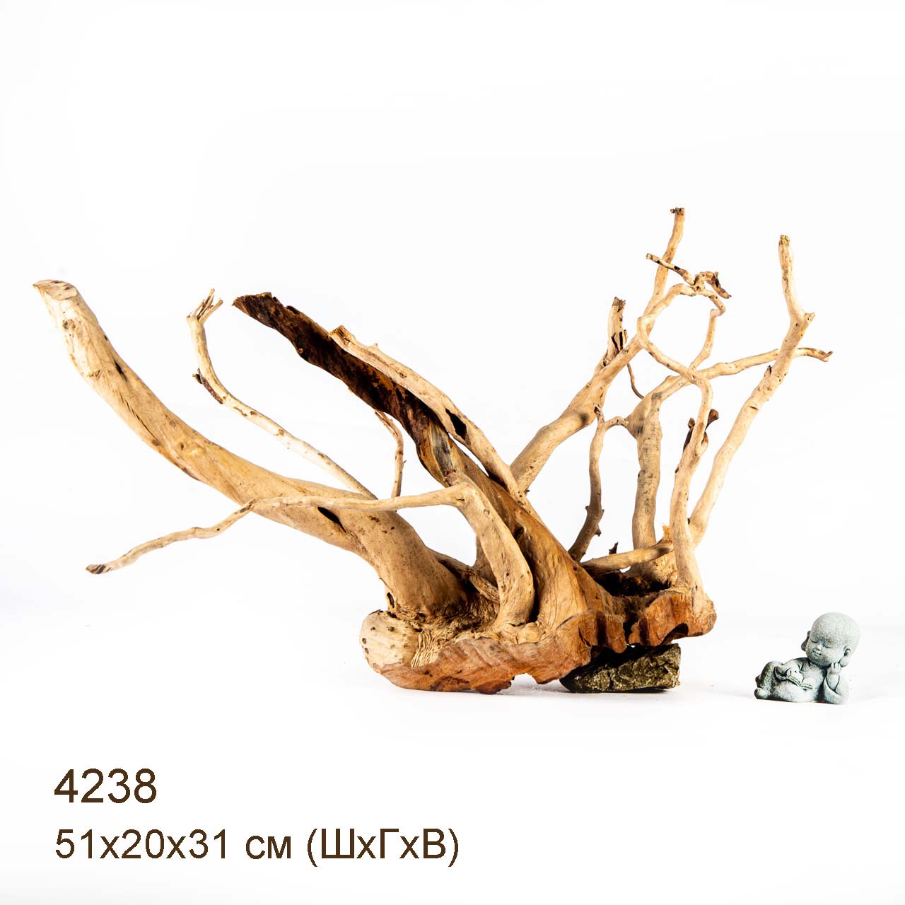 Коряга MASHA BLOOM Корень азалии XL - 4238