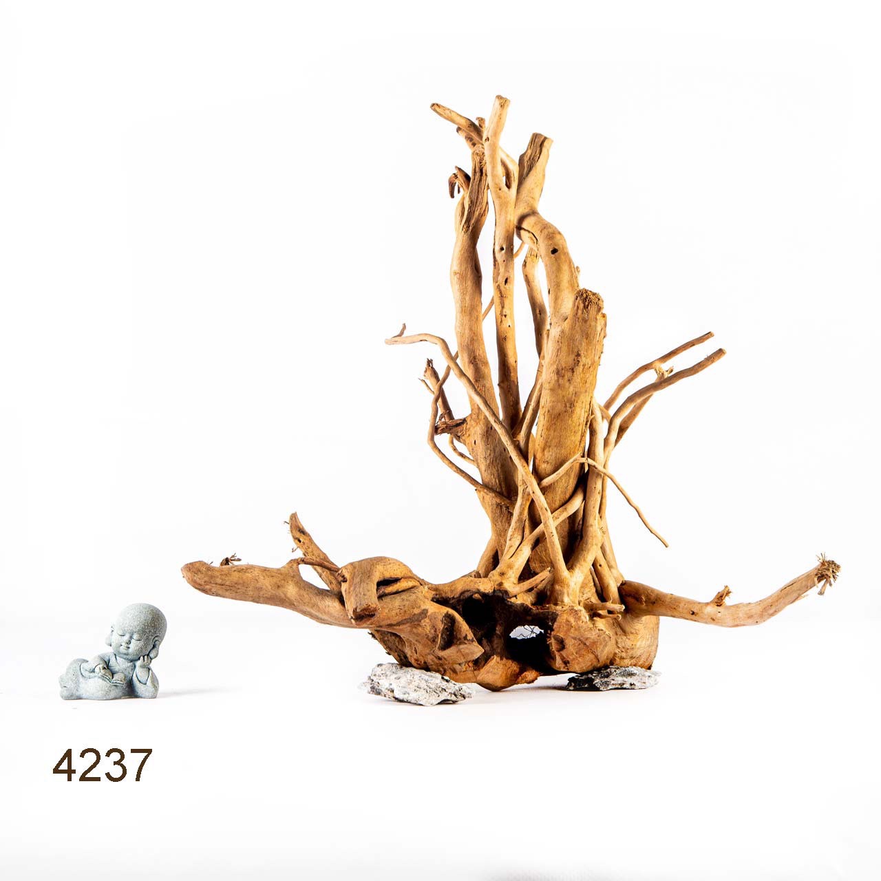 Коряга MASHA BLOOM Корень азалии XL - 4237