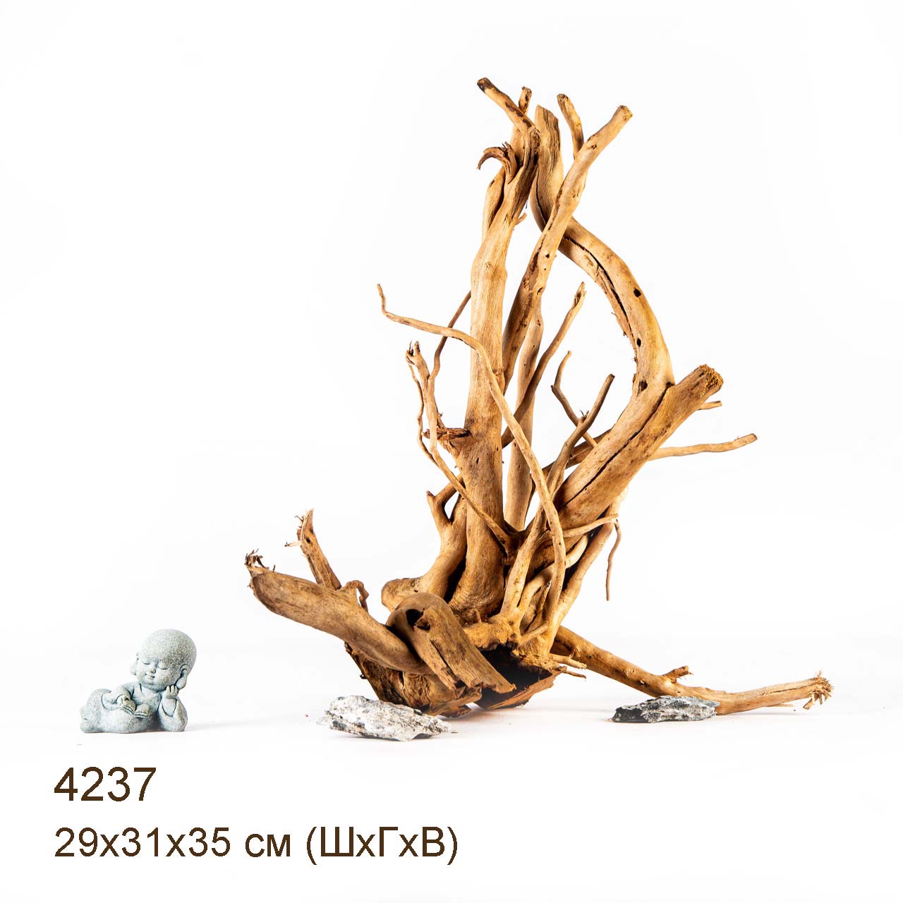 Коряга MASHA BLOOM Корень азалии XL - 4237